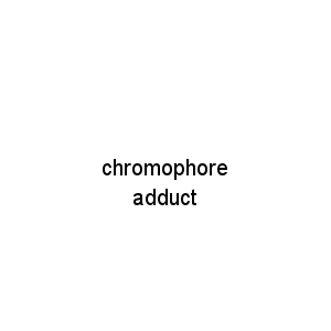 chromophore adduct